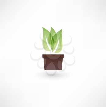Flower in a pot icon