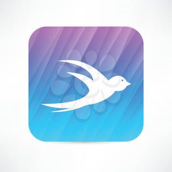 swallow icon