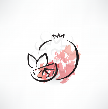 pomegranate grunge icon