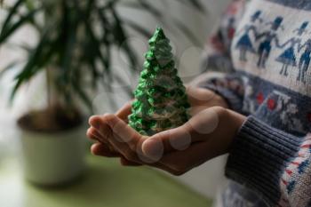 hands hold a christmas candle as fur-tree form