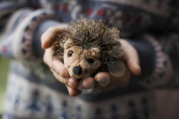 young woman with the hedgehog doll in her hands
