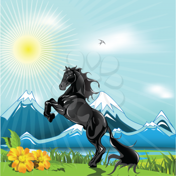 Royalty Free Clipart Image of a Horse in a Field