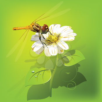 Royalty Free Clipart Image of a Dragonfly on a Flower