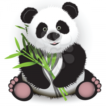 Royalty Free Clipart Image of a Panda