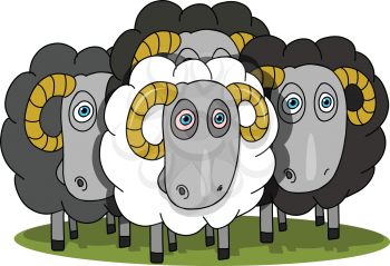 Stock Illustration Herd of Rams on a White Background