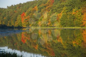 Royalty Free Photo of an Autumn Landscape