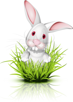Royalty Free Clipart Image of a Rabbit in Grass