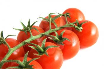 branch of cherry tomatoes, isolated on white