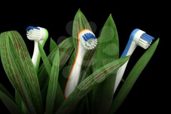 Toothbrushes growing like flowers, over black, clipping path included