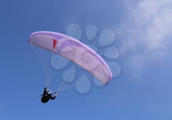 Purple paraglider flying