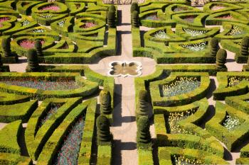 Gardens of the Chateau de Villandry, France