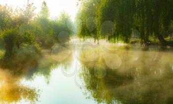 Mist on the river in the marshes of Bourges city, Centre-Val de Loire, France