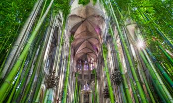 Bamboo cathedral concept in Bourges, choir of the nature, digital editing