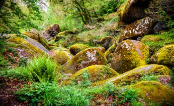 Boulders in the forest at Huelgoat in Brittany, France