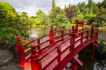 Red bridge in Japanese garden in spring