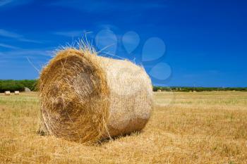 Straw roll bale on the farmland with the clear blue sky at Menorca, Spain.