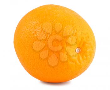 Royalty Free Clipart Image of a Single Orange