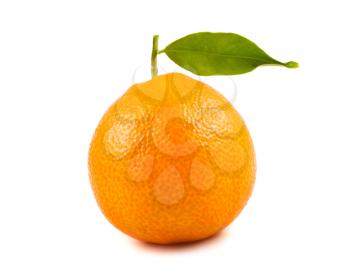 Royalty Free Photo of a Ripe Tangerine With One Leaf