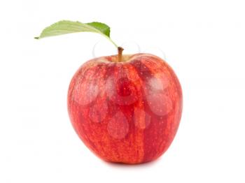 Royalty Free Photo of a Ripe Apple 