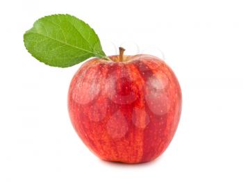 Royalty Free Photo of a Fresh Apple