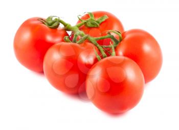 Royalty Free Photo of a Branch with Fresh Tomatoes