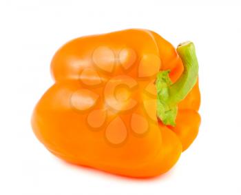 Royalty Free Photo of a Bright Fresh Pepper