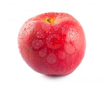 Royalty Free Photo of a Bright Ripe Apple