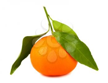 Royalty Free Photo of a Single Tangerine 