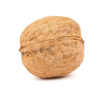 Royalty Free Photo of an Unopened Walnut