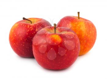 Royalty Free Photo of Three Ripe Apples