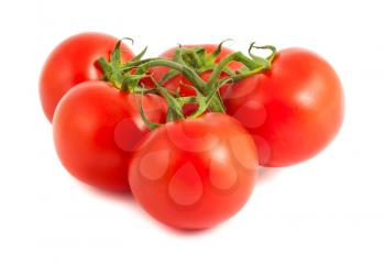Royalty Free Photo of a Branch with Ripe Tomatoes