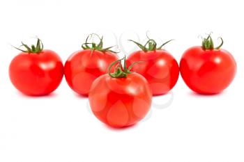 Royalty Free Photo of Fresh Ripe Tomatoes