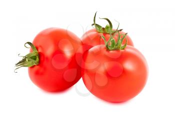 Royalty Free Photo of Ripe Tomatoes
