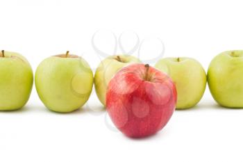 Royalty Free Photo of a Line Up of Fresh Apples