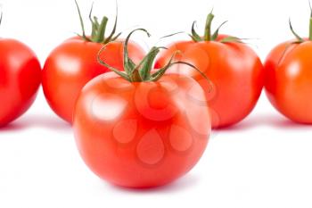 Royalty Free Photo of ripe Tomatoes