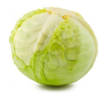 Royalty Free Photo of a Raw Cabbage