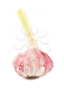 Royalty Free Photo of a Single Fresh Garlic Clove