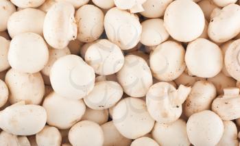 Background of fresh whole mushrooms,  healthy food