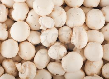Background of fresh whole mushrooms,  healthy food