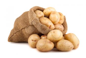 Ripe potatoes in burlap sack isolated on white background