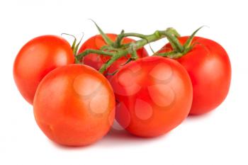 Ripe red tomato with  branch isolated on white background