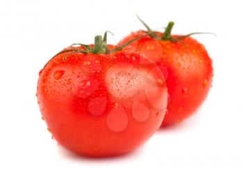 Two ripe red tomatoes with water drops isolated on white background