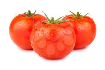 Three ripe red tomatoes with water drops isolated on white background