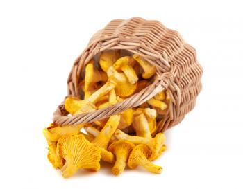 Sprinkled wicker basket with mushrooms isolated on a white background