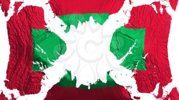 Maldives torn flag fluttering in the wind, over white background, 3d rendering