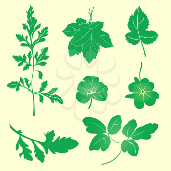 Royalty Free Clipart Image of a Set of Leaves