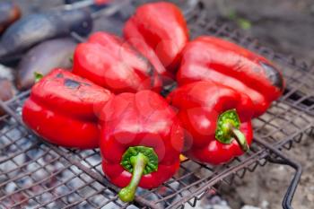 Red grilled pepper on bbq fireplace
