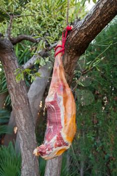 Hammon pork leg on the tree branch, outdoor
