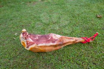 Hammon pork leg on the green grass, outdoor
