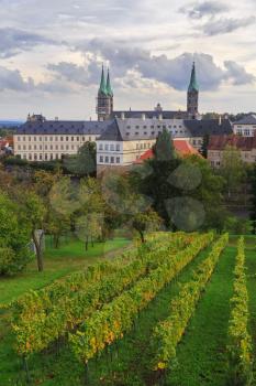 Vineyard and cathedral in Bamberg, Germany
